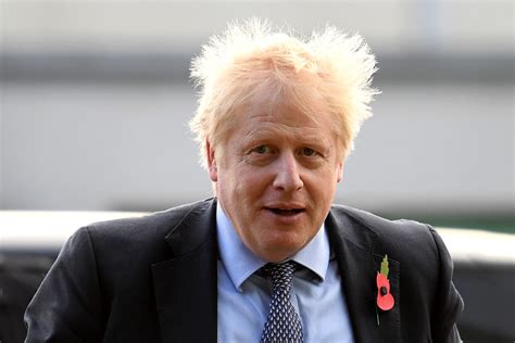 This hairstyle looks great matched with a constant look of shock and surprise and is also perfect if you'd describe your ideal style as a mixture of donald and boris in one. Boris Johnson's hair shows he's too posh to fail - POLITICO