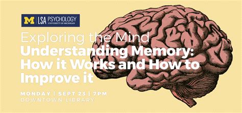 Exploring The Mind Understanding Memory How It Works And How To