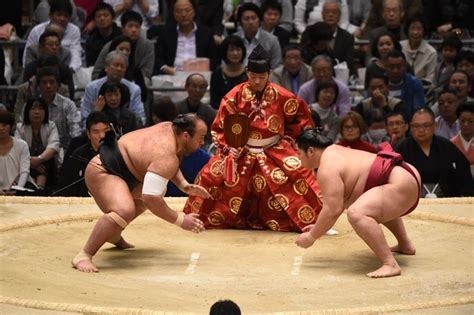 Combat De Sumo Japon