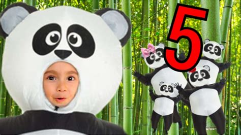 Five Little Pandas Jumping On The Bed Counting Song For Kids Youtube