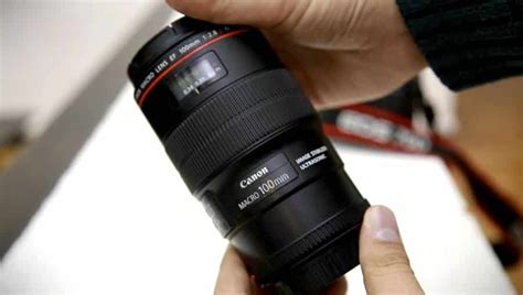 Canon 100mm Macro Lens Review The Best Lens For Macro Photography
