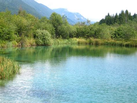 Visit And Explore The Zelenci Nature Reserve In Kranjska Gora Slovenia