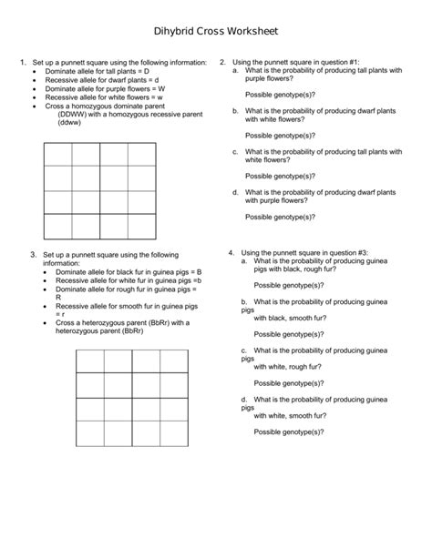 Dihybrid punnett square practice problems answer key. Dihybrid Punnett Square Worksheets