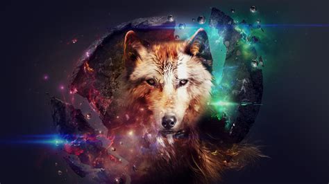 Download, share or upload your own one! Wolf wallpapers 2560x1440 desktop backgrounds