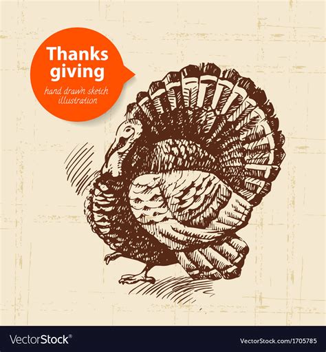 Hand Drawn Vintage Thanksgiving Day Sketch Vector Image