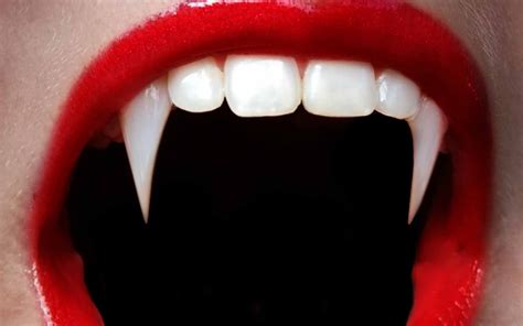 How To Get Vampire Teeth For Real Custom Made Basic Upper Vampire