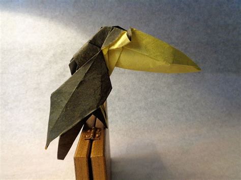 Tucán Origami Toucan Origami Toucans