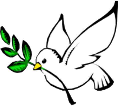 Columbidae Doves As Symbols Peace Olive Branch Clip God The Holy