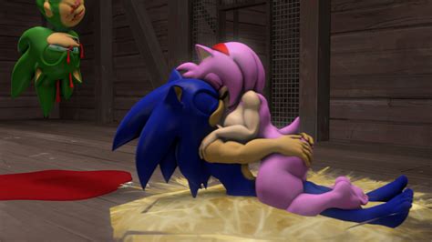 Rule 34 3d 3d Artwork Amy Rose Cuckold Furry Only Scourge The Hedgehog Sex Sonic Series