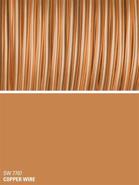 Paint color is tricky and pretty darn important. Sherwin-Williams orange paint color - Copper Wire (SW 7707 ...