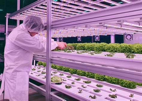 why the indoor farming movement is taking off