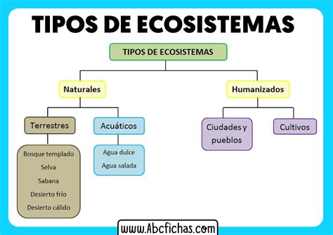 Mapa Conceptual De Los Tipos De Ecosistemas Geno Layarkaca21 Lk21