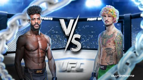 UFC 292 Odds Aljamain Sterling Sean O Malley Prediction Pick How To