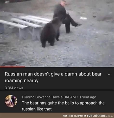 In Russia You Dont Run From Bear Bear Run From You Funsubstance