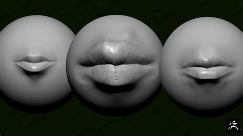 Artstation 11 Brushes And Alpha For Human Lip Sculpting Brushes