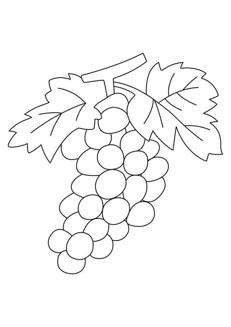 Voici un dessin à colorier de chat de noel. Demandez le catalogue 10 Doigts | Coloriage fruits, Dessin ...