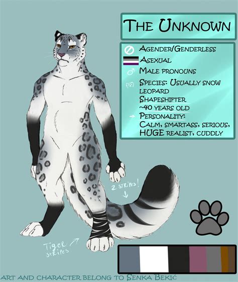 The Unknown Snow Leopard Anthro Reference Sheet By Senka Bekic Fur Affinity Dot Net
