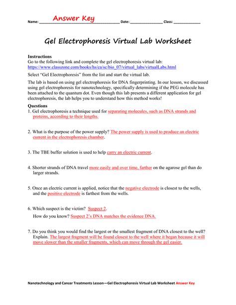 Welcome to the virtual lab for human anatomy and physiology i. Gel Electrophoresis Virtual Lab Worksheet Answer Key