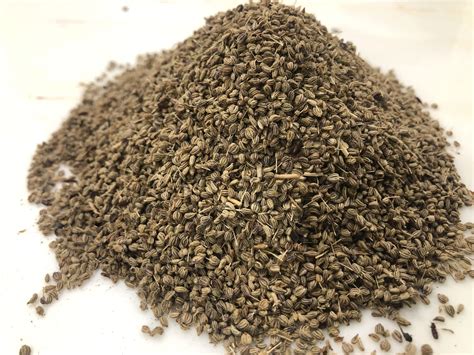 Ajwain Kani Powder | Trachyspermum Ammi Powder | Ajvain Powder | Ajawain Powder | Carom Seed ...