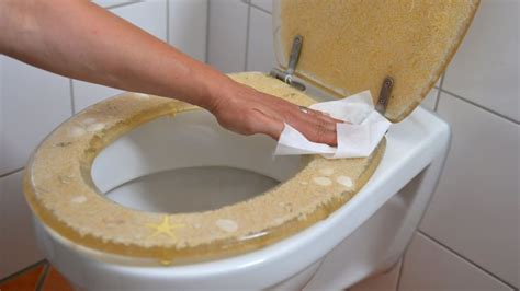 Bügeln Und Toilette Putzen Sind Unbeliebteste Hausarbeiten Leben