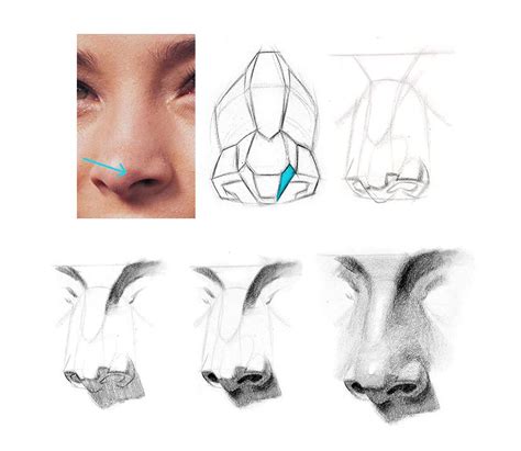 I have made some free worksheets (pdf) that you can print out to help you practice, feel free to grab them below and share them with anyone else you might know. http://www.proko.com/how-to-draw-a-nose-step-by-step ...