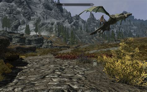 Giant Rides Dragon At Skyrim Nexus Mods And Community