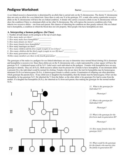 Answer the questions throughout this feature. worksheet. Pedigree Worksheet Interpreting A Human ...