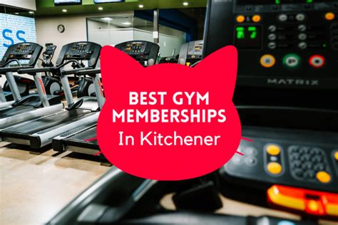 The 3 Best Gym Memberships In Kitchener 2024 Kiwacag