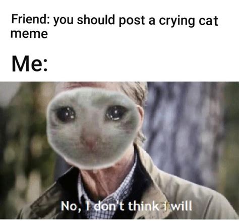 Feb 21, 2013 · the latest tweets from pewdiepie (@pewdiepie). Pin on Crying Cat Memes