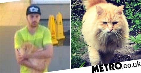 Catnapped Mr Muk Is Reunited With Owner Two Months After Being Taken
