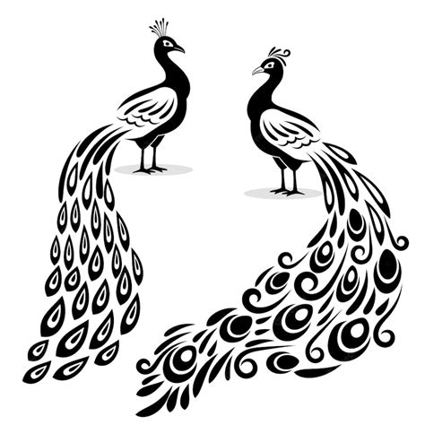 Premium Vector Monochrome Peacock Hand Drawn Peecoock Isolated Black