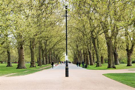 Hours, address, hyde park reviews: Hyde Park - London Holiday Studios