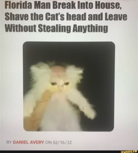 Florida Man Break Into House Shave The Cat S Head And Leave Without Stealing Anything By Daniel
