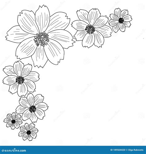 Border Design Flower Border Coloring Pages Dream On Stardoll