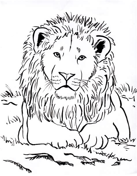 Beautiful coloring sheets with lion images for all ages!the book contains 30 sheets of lion images in different postures! Lion Head Coloring Page at GetColorings.com | Free ...