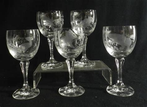 Australian Wildlife Etched Wine Glasses Natural History Industry Science And Technology