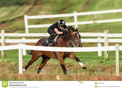 Race Horse Jockey Closeup Running Track Editorial Stock Photo Image