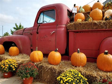 Eckert S Belleville Country Store And Farms Fall Halloween Decor Pumpkin Picking Belleville