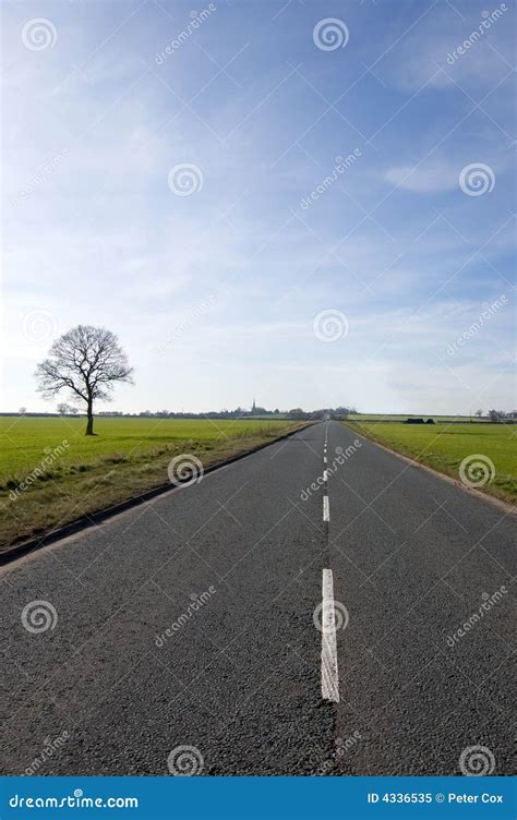 Tree And Long Road Stock Image Image Of Landscape Lonely 4336535