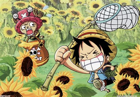 One Piece Anime Chopper Monkey D Luffy 2500x1739 Wallpaper