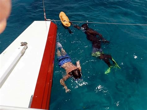 Barbados Catamaran Sail Sea Turtle Shipwreck And Tropical Fish