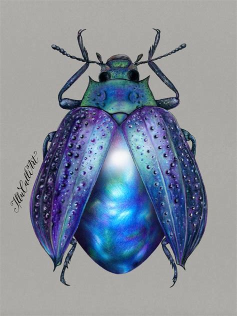 I Drew Beetles That Hide Colourful Minerals Underneath Their Shiny Wing