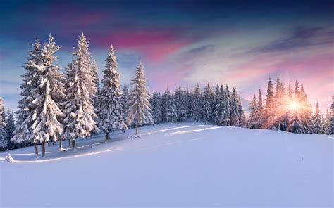 Snowy Mountains Windows 10 Theme Free Wallpaper Themes