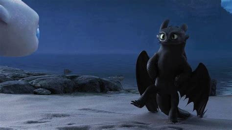 Toothless Drawing In The Sand Gif
