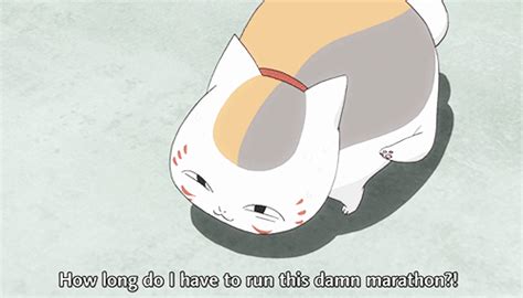 Nyanko Sensei Natsume Takashi Natsume Yuujinchou Ftw Me Me Me Anime