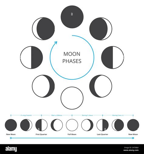 Moon Phases Icons Astronomy Lunar Phases Whole Cycle From New Moon To