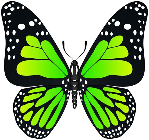 Butterfly Yellow Green Transparent Clip Art Image Gal