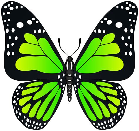 Green Butterfly Clipart 10 Free Cliparts Download Images On