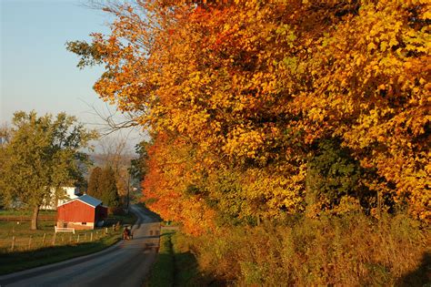 Amish Country in the Fall~ Sarah's Country Kitchen ~ | Amish farm, Amish country, Fall country