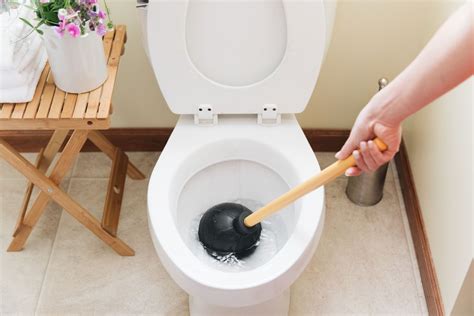 5 Reasons Your Toilet Keeps Clogging 2023